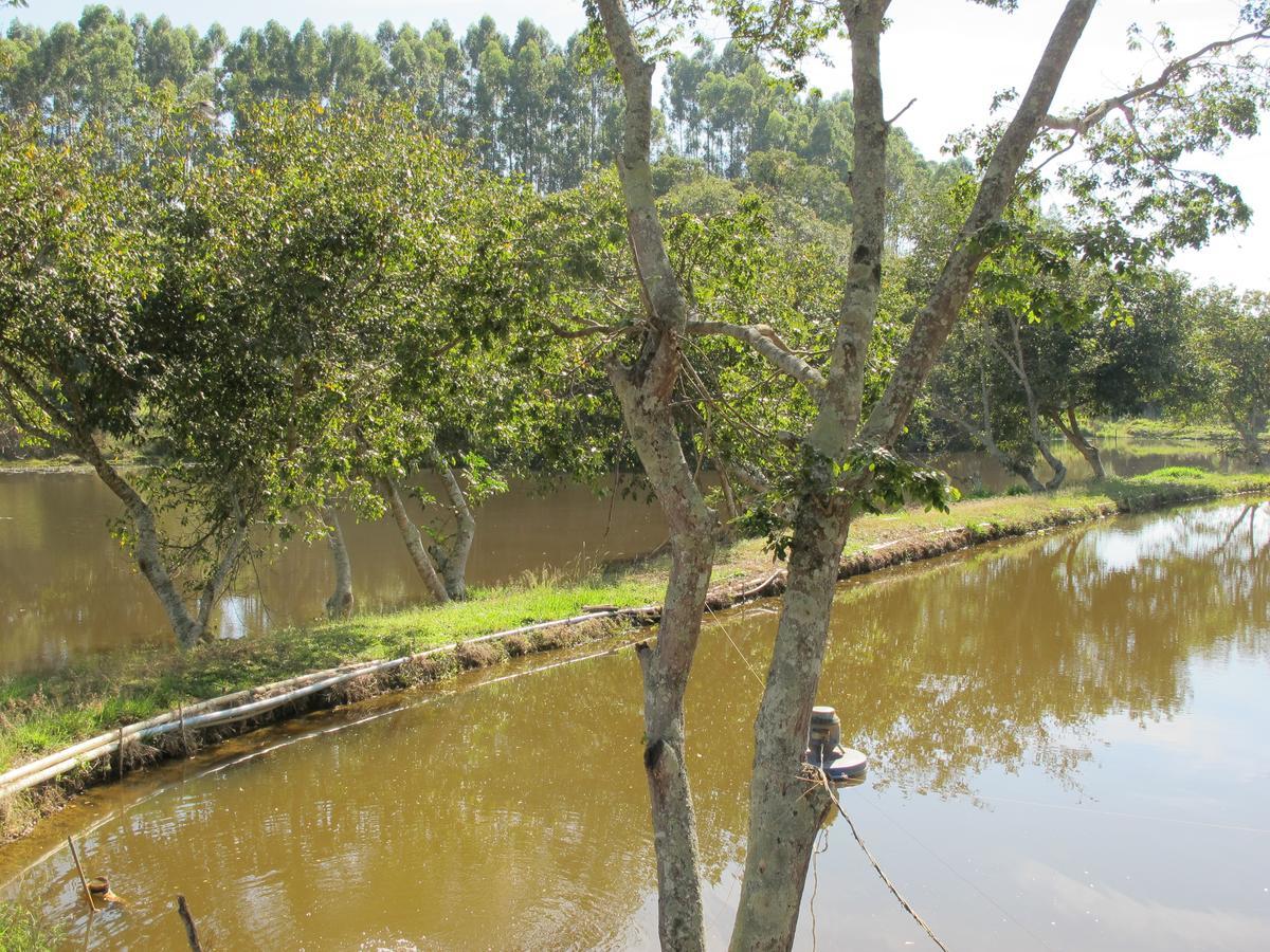 Arte de Minas Sao Goncalo do Sapucai Exterior foto
